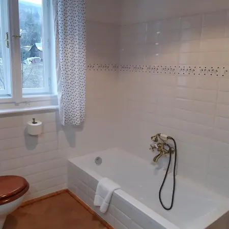 Apartmán Nechanický *